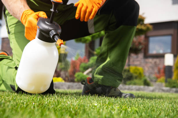 Best Commercial Pest Control Services  in Purvis, MS