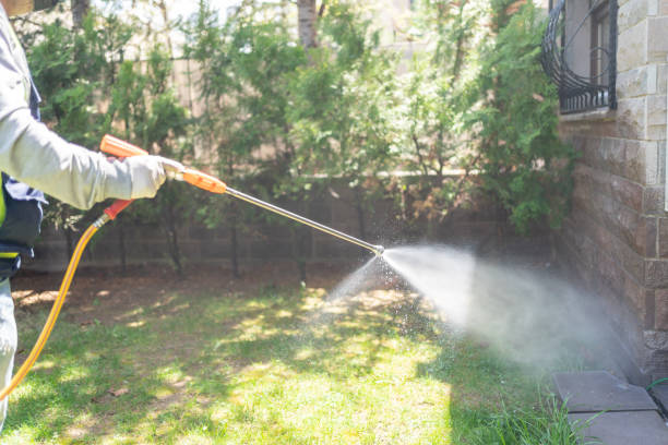 Best Pest Control Cost  in Purvis, MS