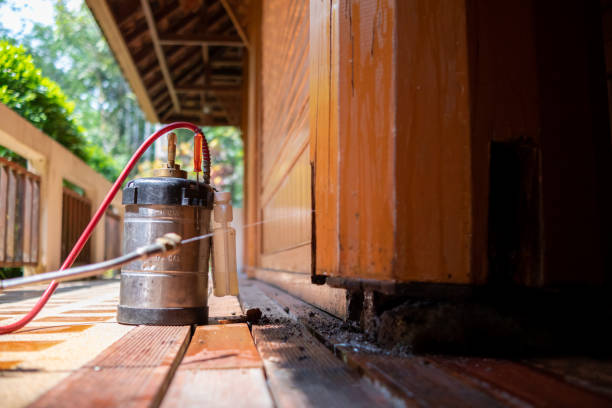 Best Termite Control Services  in Purvis, MS