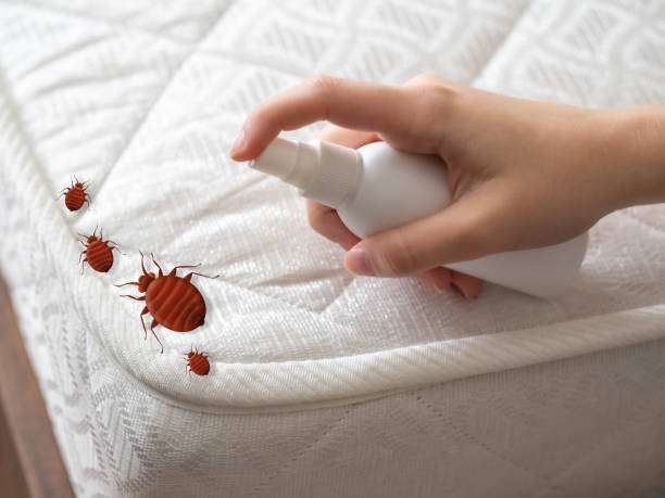 Best Pest Control for Restaurants  in Purvis, MS