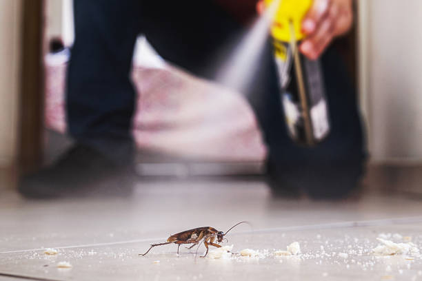 Best Wildlife Control Services  in Purvis, MS