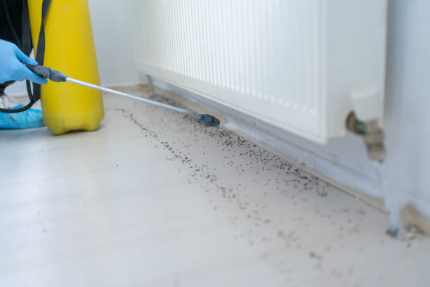 Best Commercial Pest Control Services  in Purvis, MS
